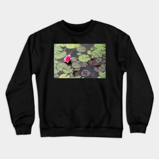 Beautiful pink waterlily in the Danube Delta, Romania, on summer day Crewneck Sweatshirt